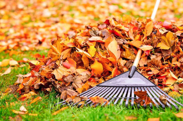 YARD CLEANING service YARD CLEANING service